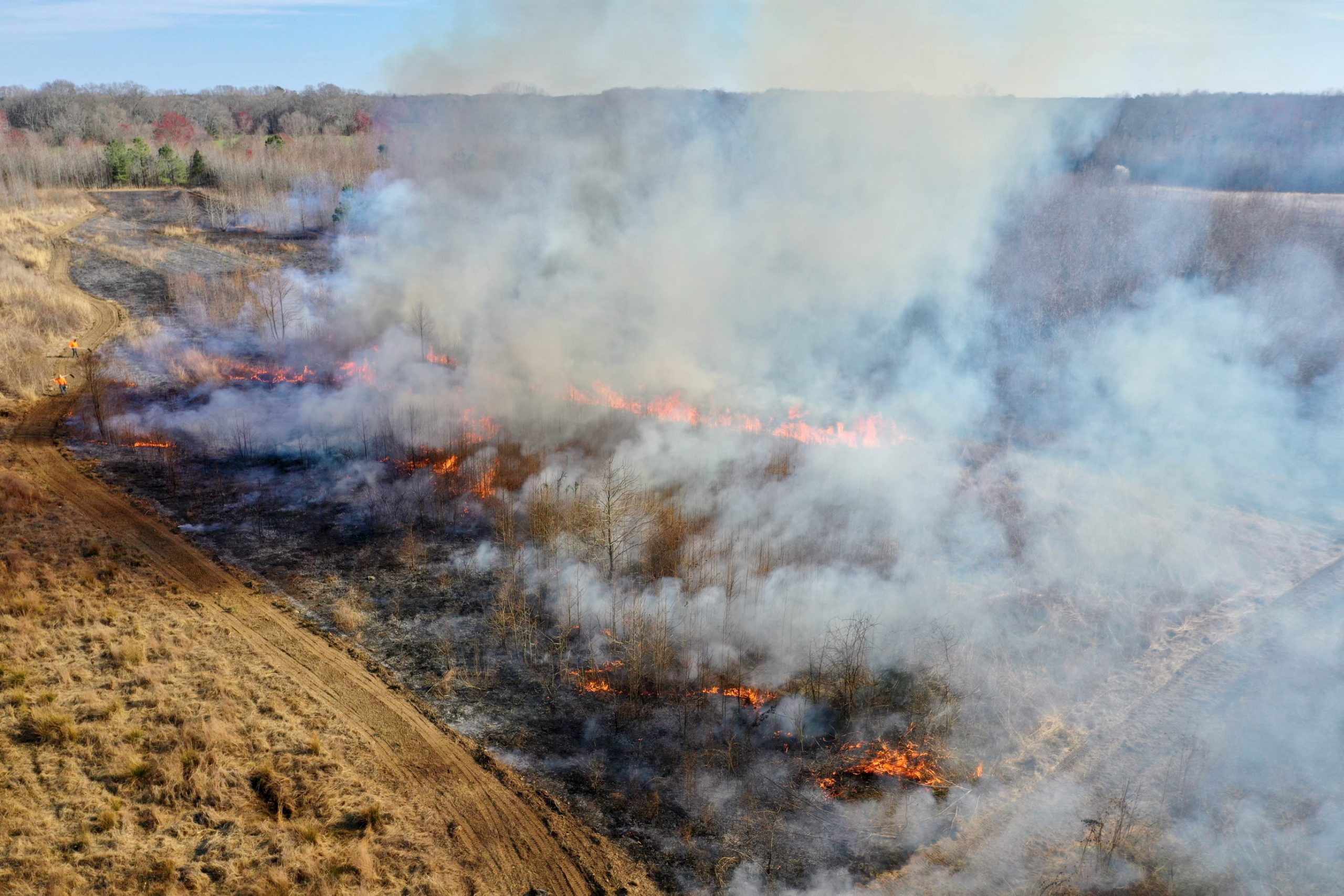 Wildlife/Habitat Management Bourn Environmental