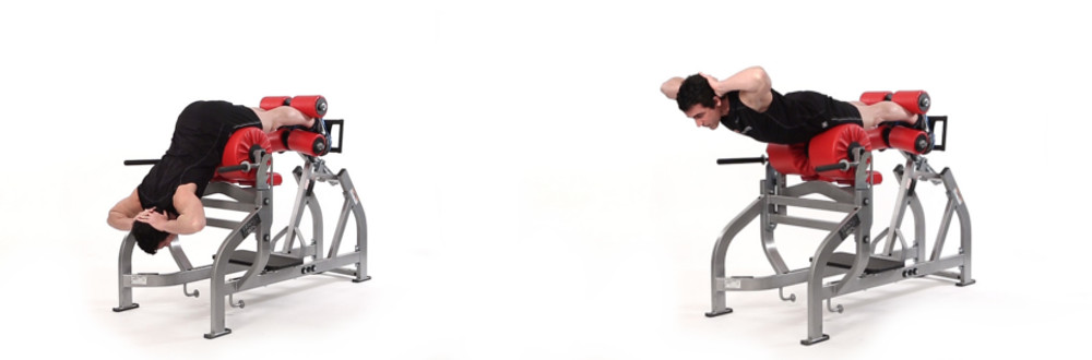 Bowflex Lower Back Exercises | atelier-yuwa.ciao.jp