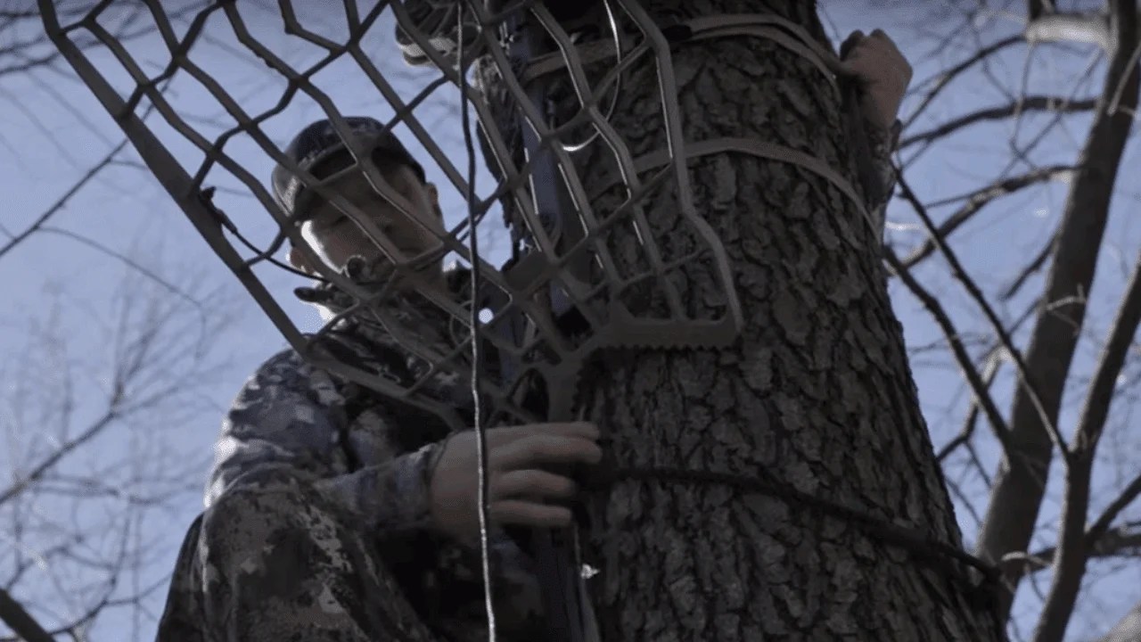 How To Hang A Treestand & Climbing Sticks in 7 Minutes