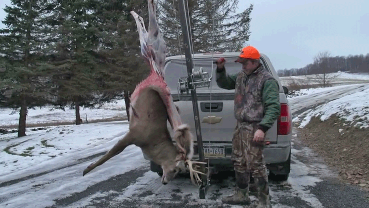 Koola Buck Hide Ripper