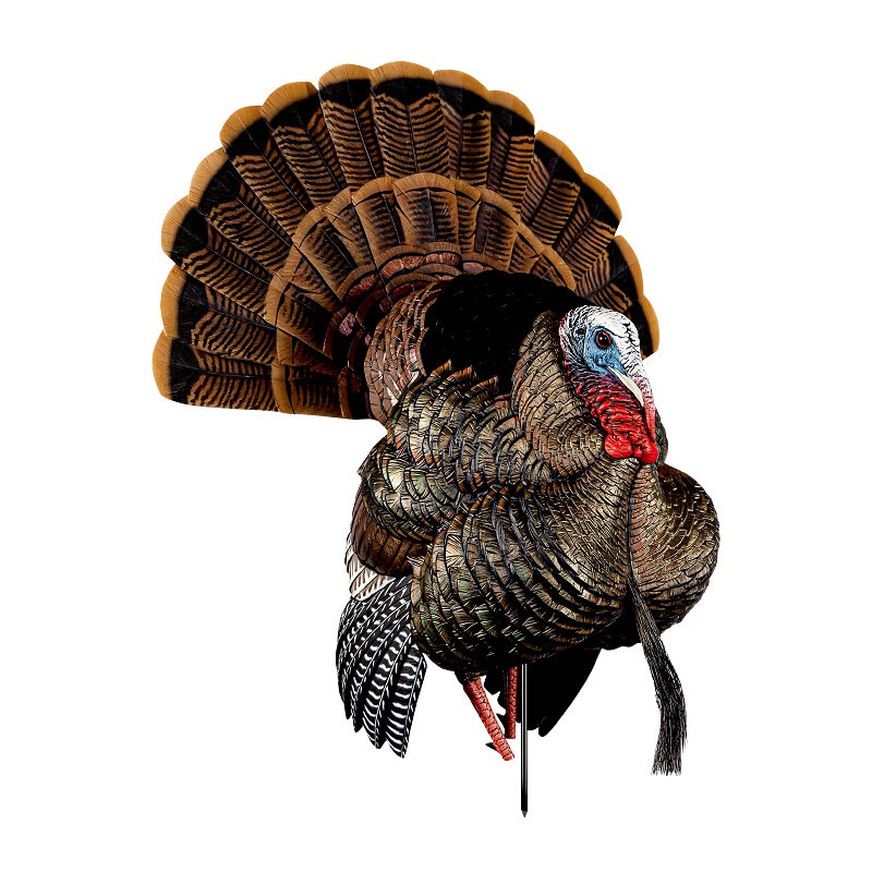 New Turkey Decoys for Spring 2021