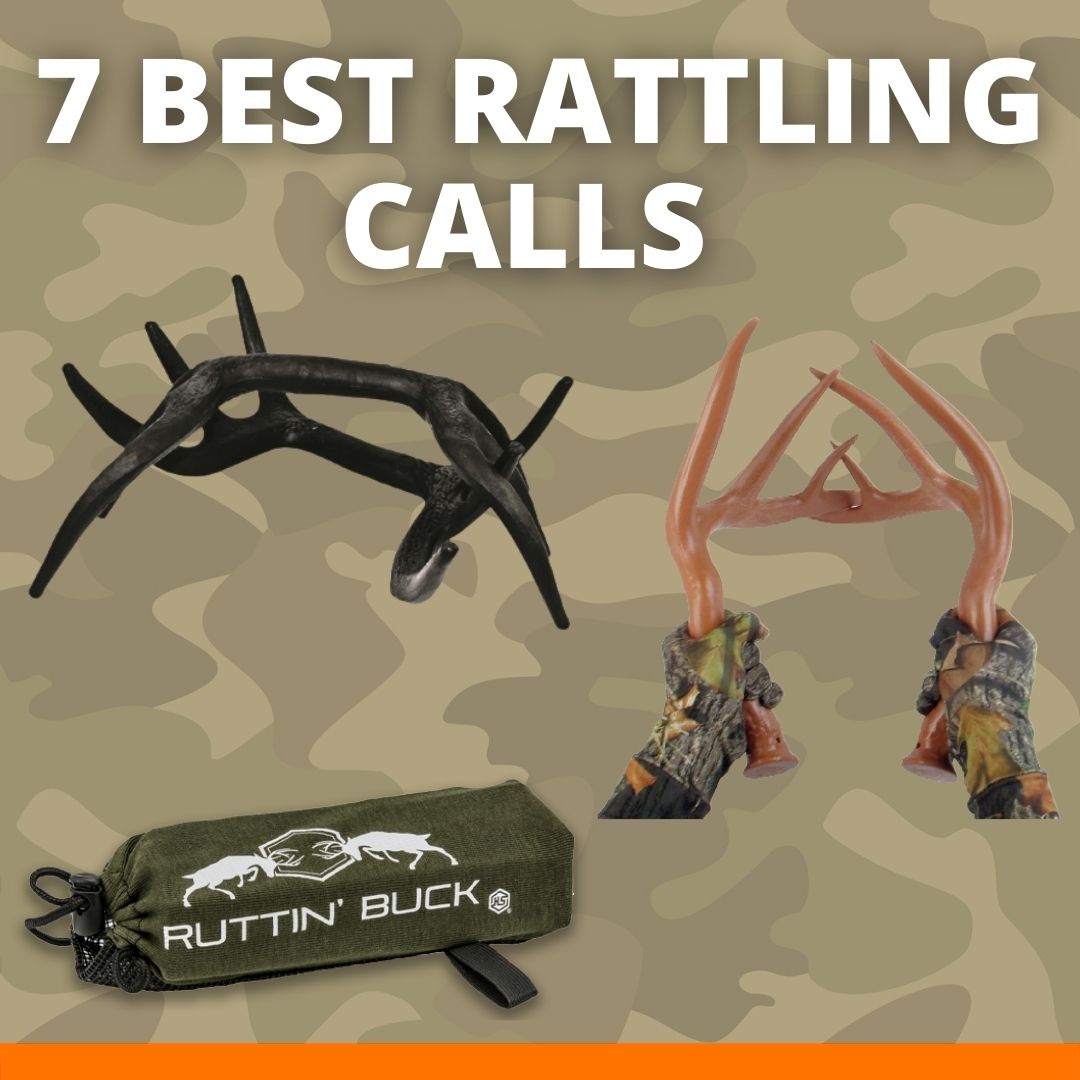 7 Best Rattling Calls for Whitetail Hunting Bowhunting Depot
