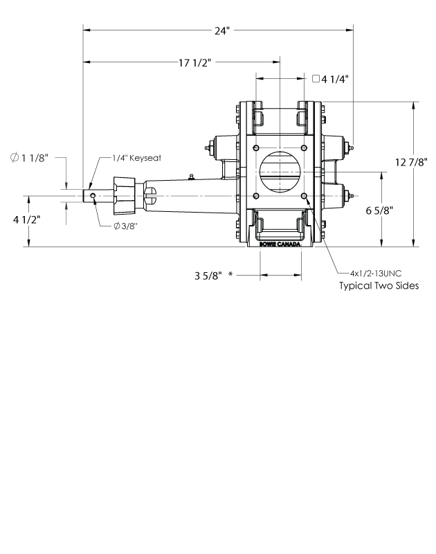 Signature 3300 Bowie Pumps