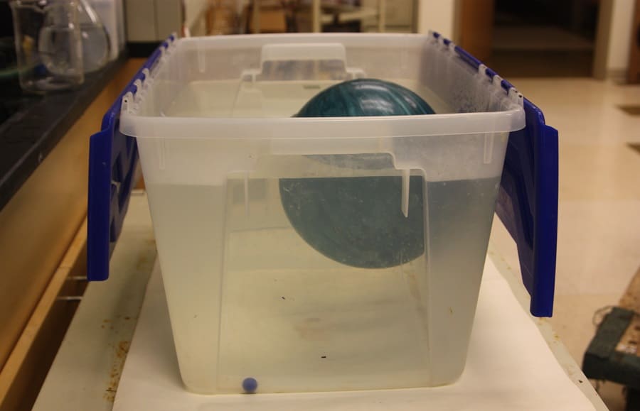 Does a Bowling Ball Float or Sink? Bowling Knowledge