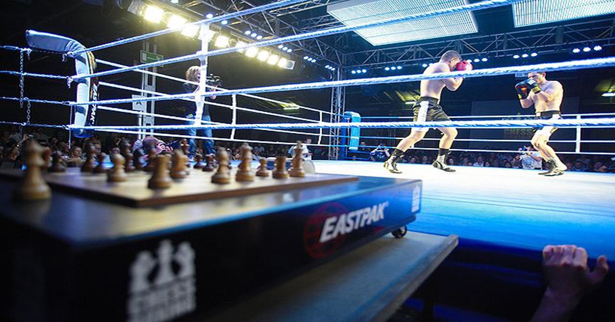 Chess Boxing Boxing Daily