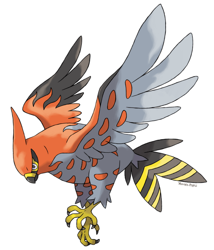 Pokémon X Y Gym Leader Walkthrough Pokémon League BoxMash