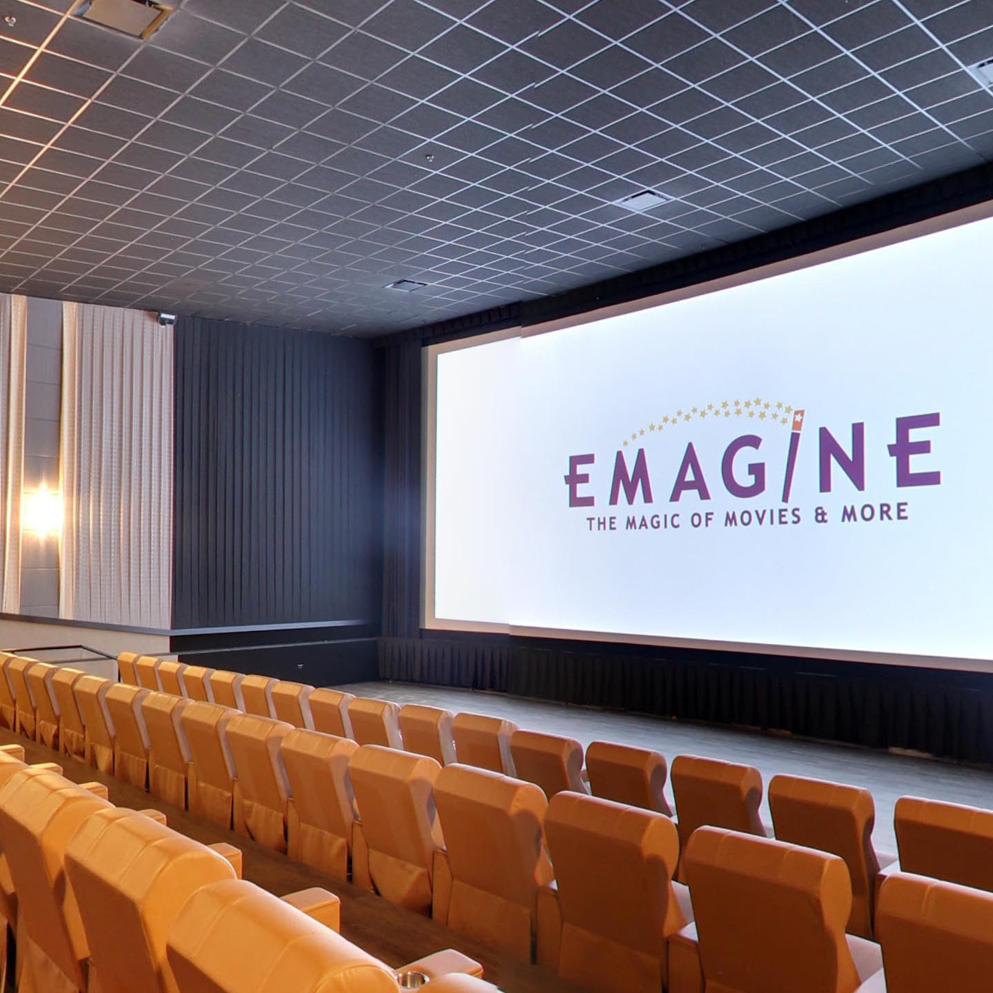 Emagine Entertainment To Host Annual Celebration To Benefit