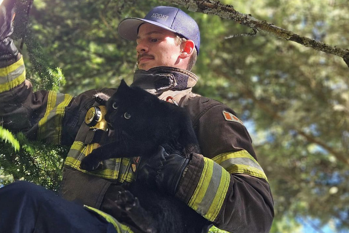 First day on the job Sooke firefighter rescues feline from tree Sooke News Mirror