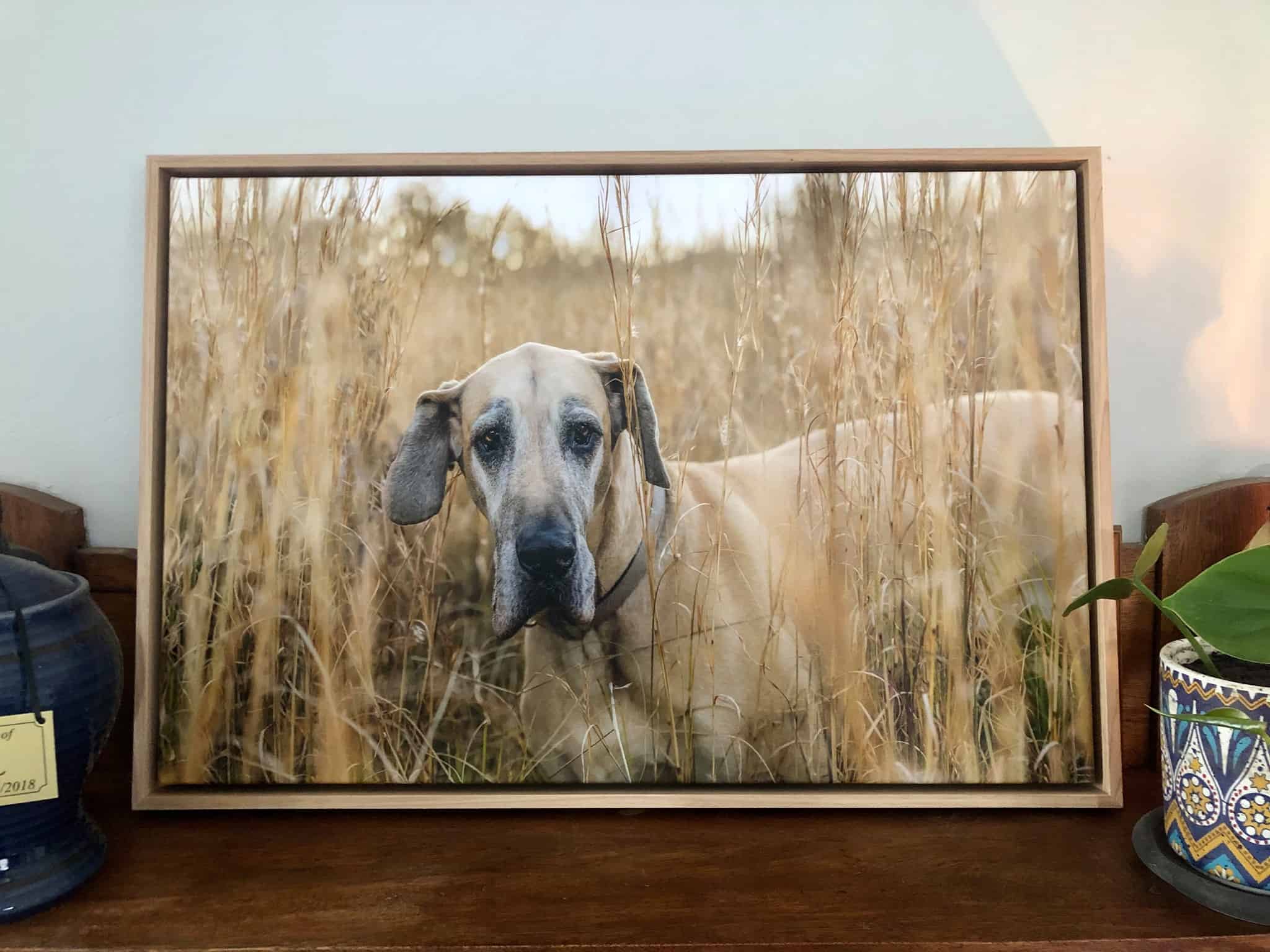 Boxed and Floating Framed Canvas Prints