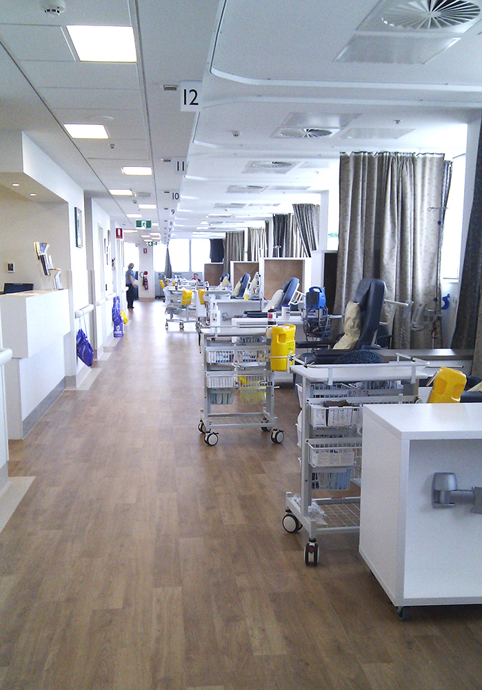 Project Royal Hobart Hospital Integrated Cancer Services BPSM