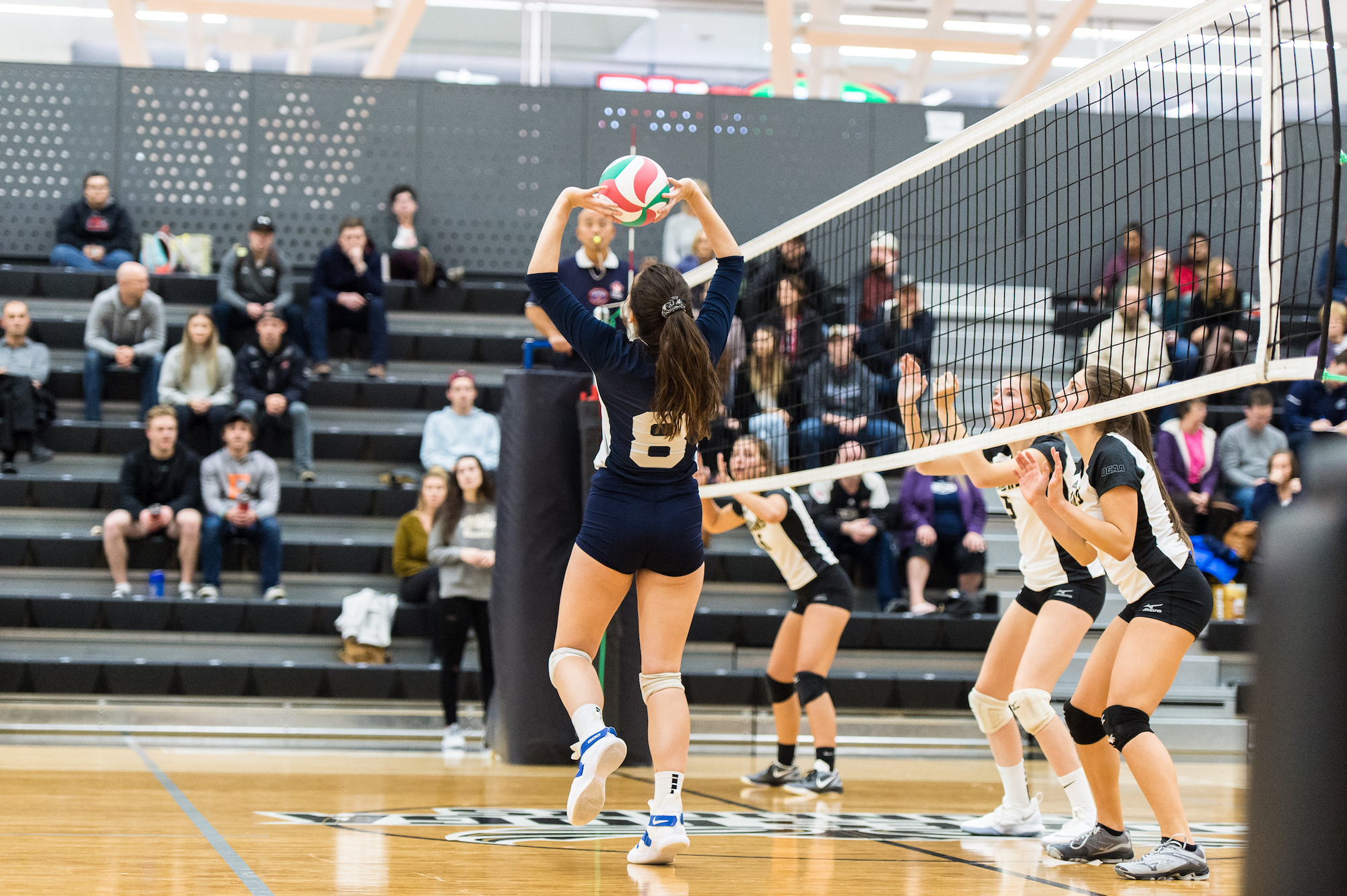 Taylor made volleyball player BP Sports Niagara