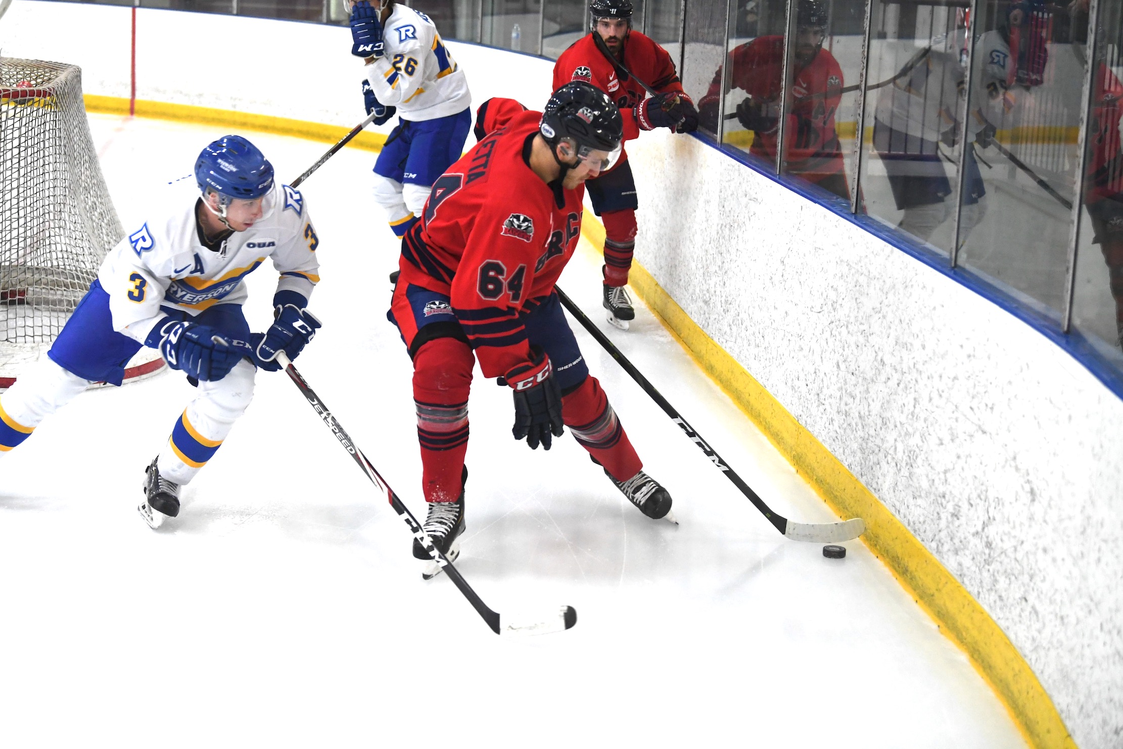 Maletta joins Badgers BP Sports Niagara