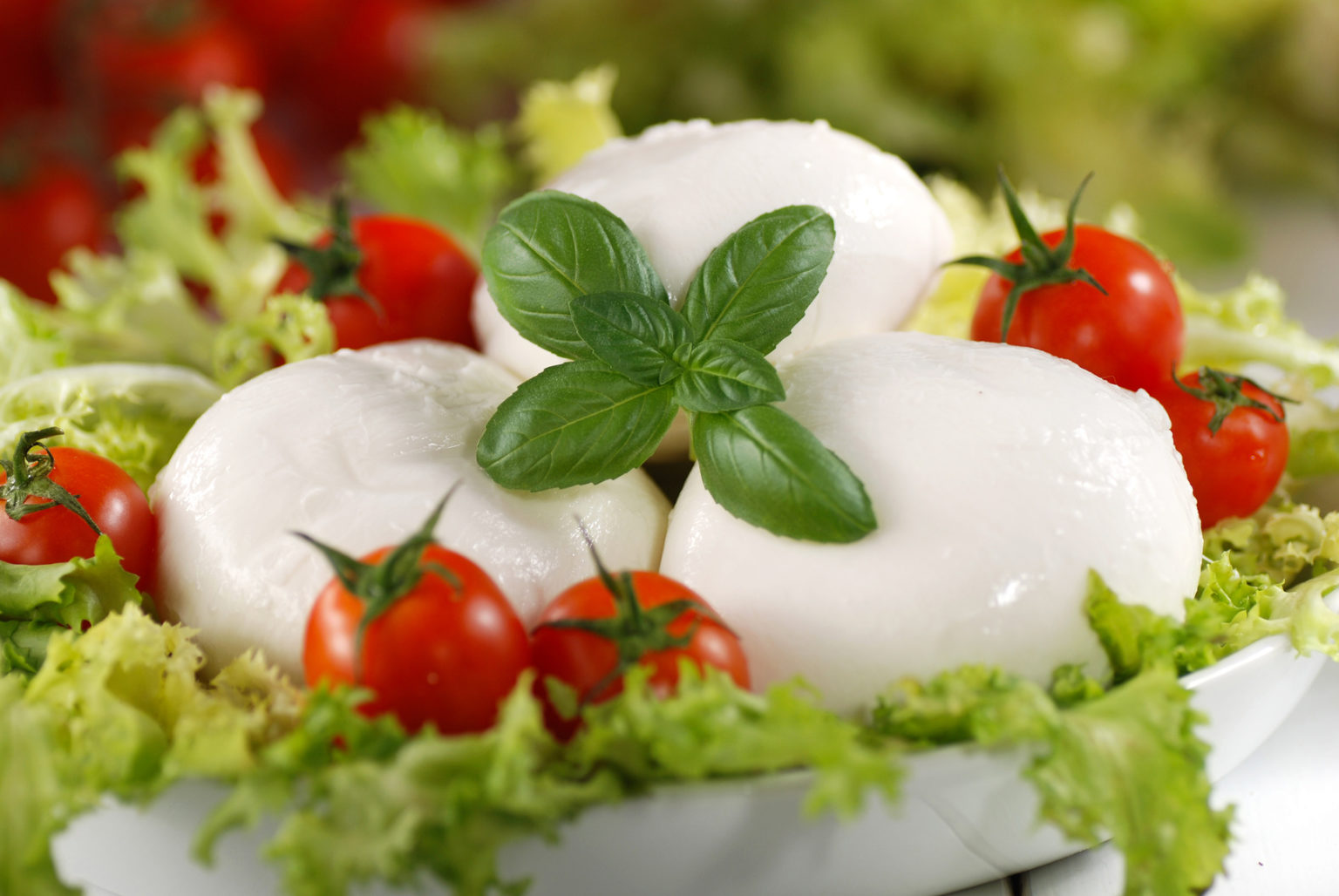 COME RICONOSCERE UNA VERA MOZZARELLA DI BUFALA