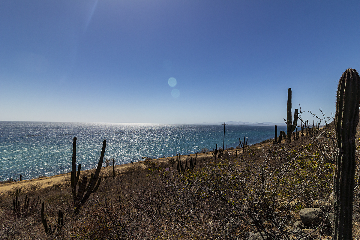 TERRENO FRENTE A PLAYA LOS BARRILES BAJA CALIFORNIA SUR Braic Bienes