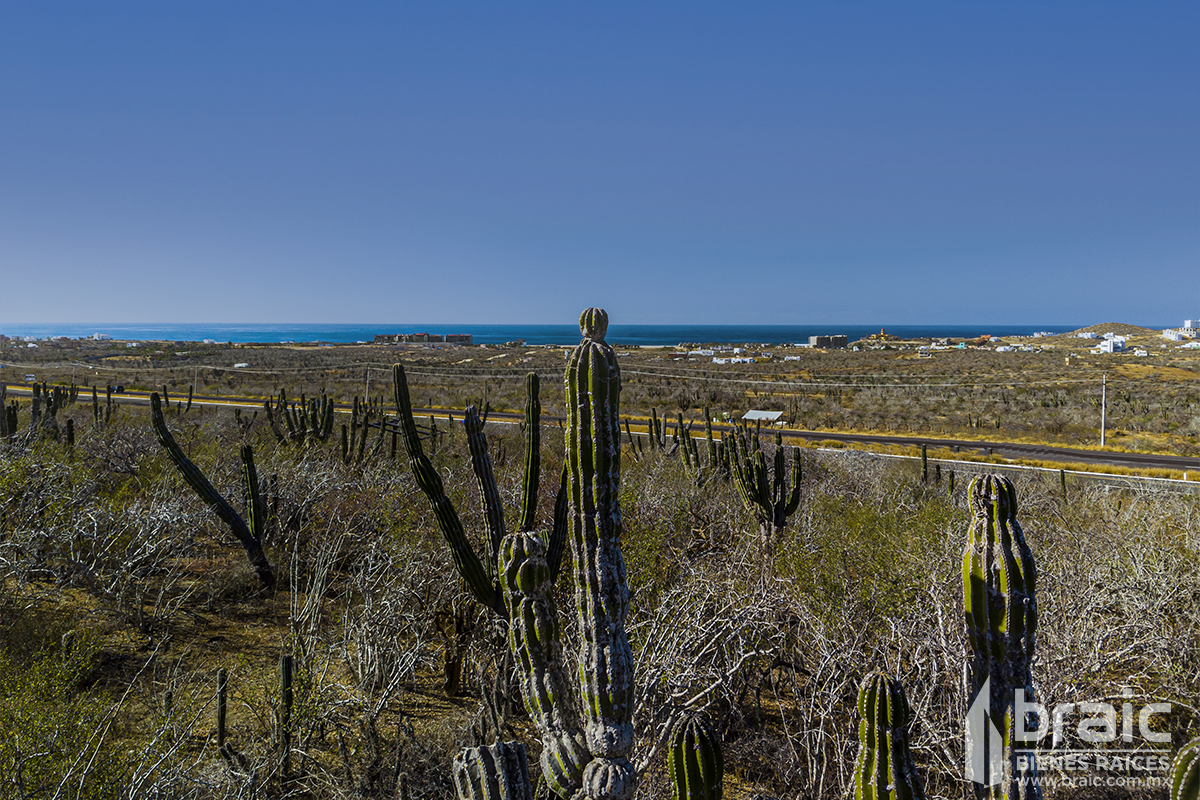 TERRENO CERRITOS BCS CARRETERA Braic Bienes Raices