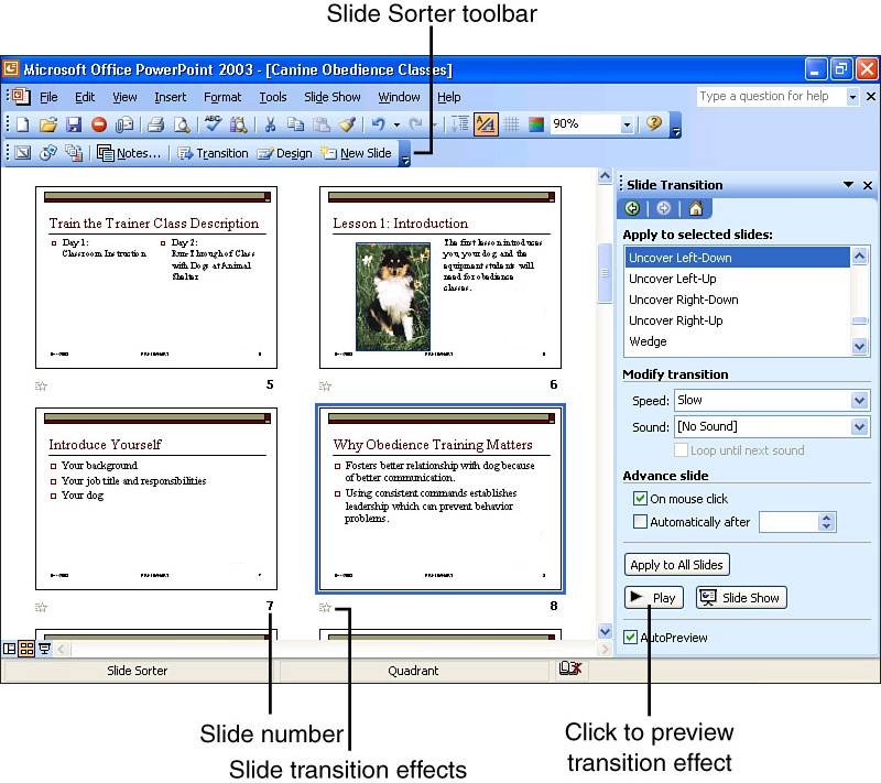 Using Slide Sorter View to Rearrange a Presentation MS PowerPoint