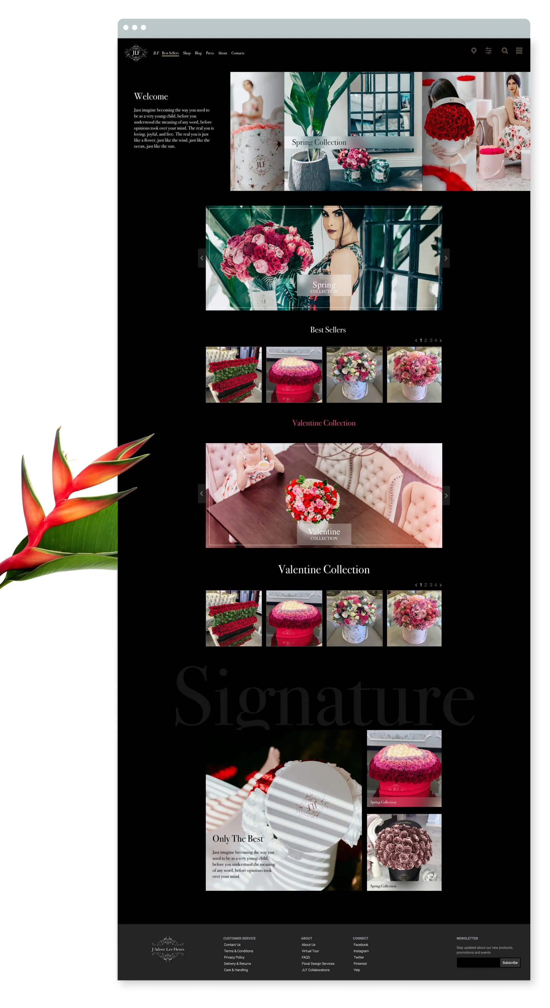 Packaging and website design for for Jadore Les Fleurs Floral design