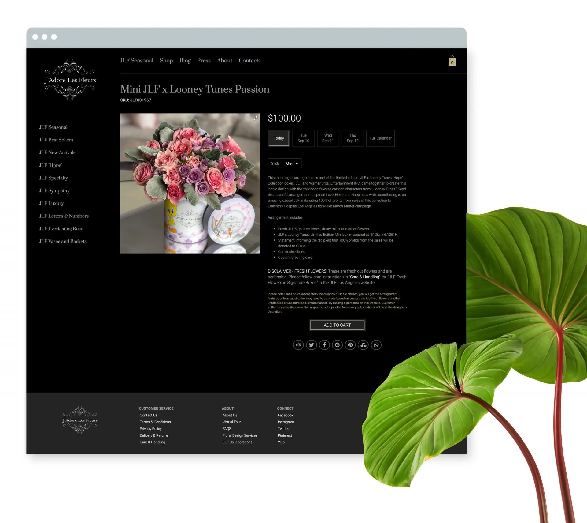 Packaging and website design for for Jadore Les Fleurs Floral design