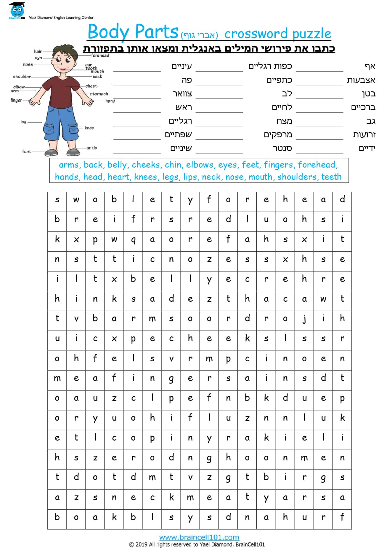 Crossword Puzzle - Body Parts - braincell101