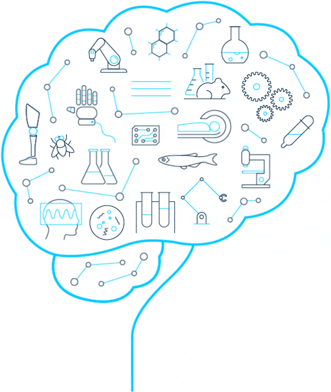 Milestones The BRAIN Initiative