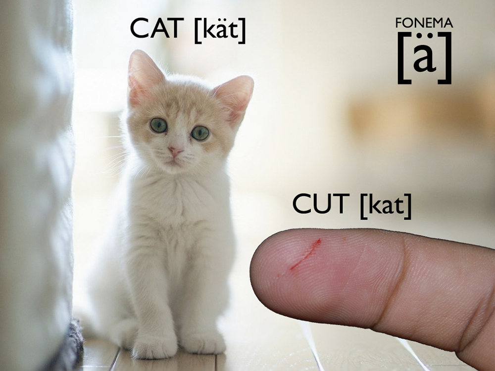 ¿Corte o gato? Aprende a pronunciar el fonema inglés [ä]
