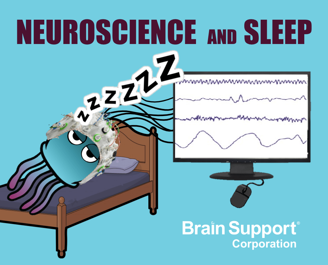 How to study sleep in the laboratory?
