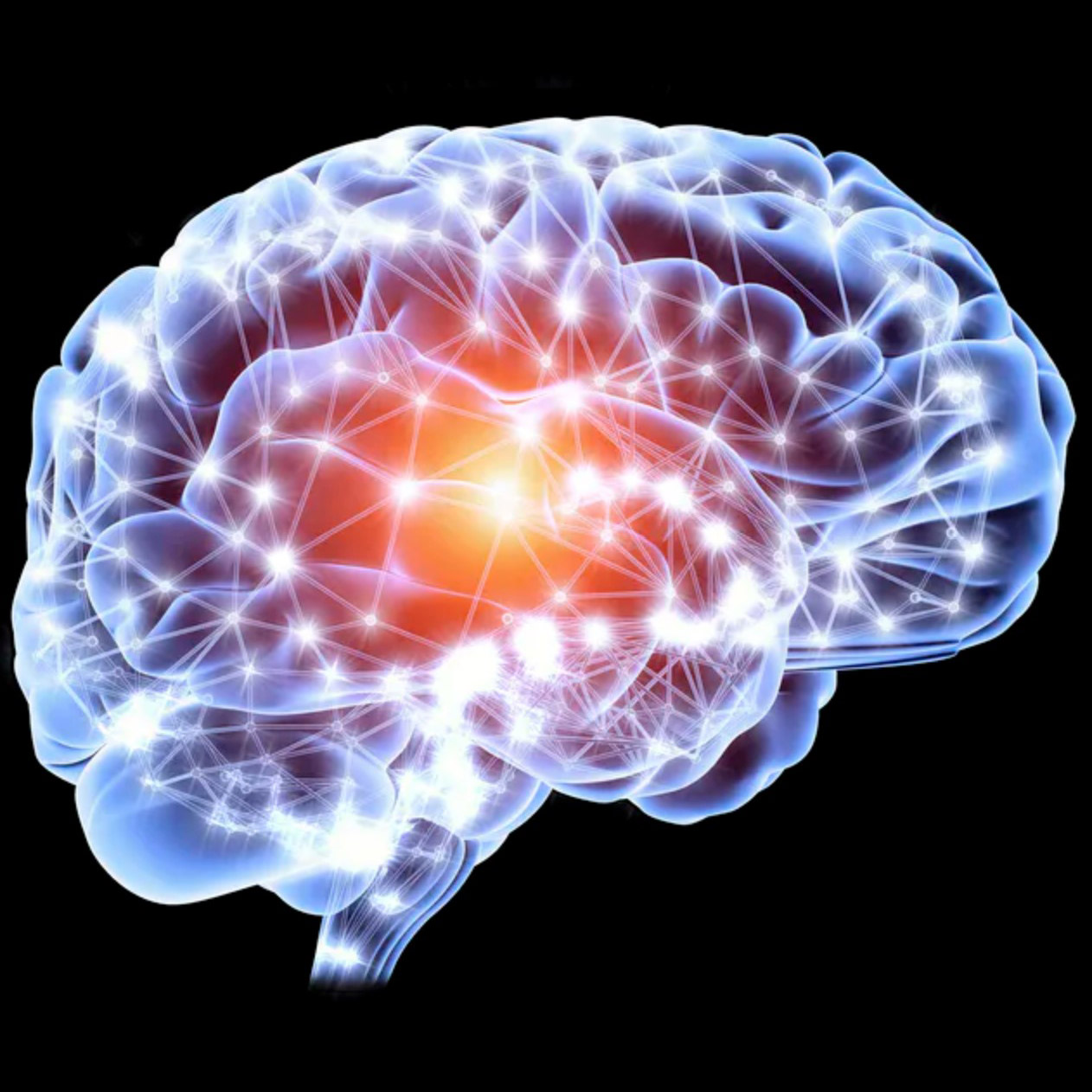 You have likely heard of the brain's gray matter here is why the