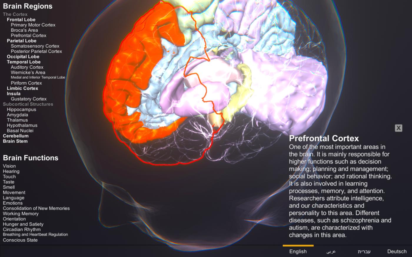 Brain Simulation Section Homepage