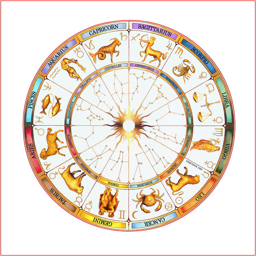 Manifest zodiac signs 60 photos