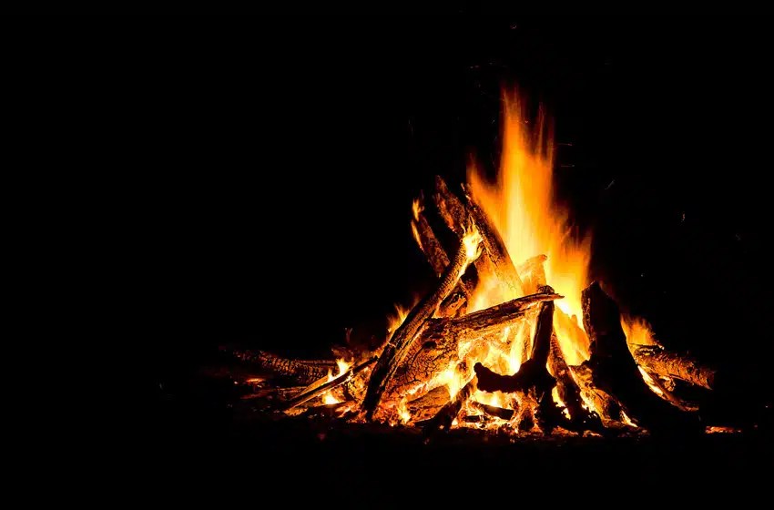 Brandenburg Farms A Farming Partner For Your Farmland Investment