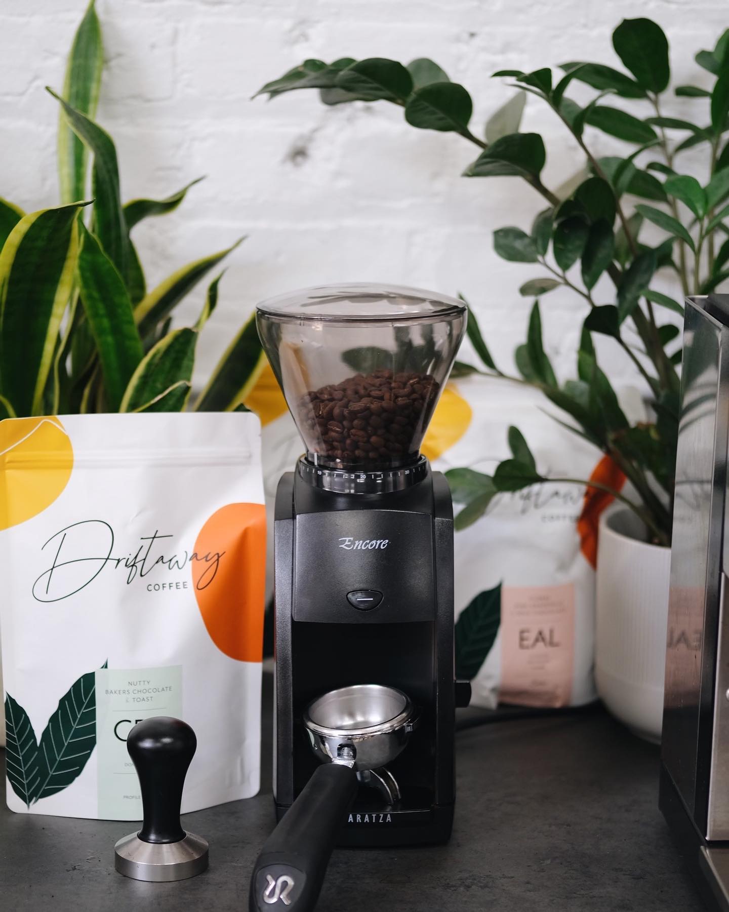 10 Best Coffee Brands in the US American Coffee