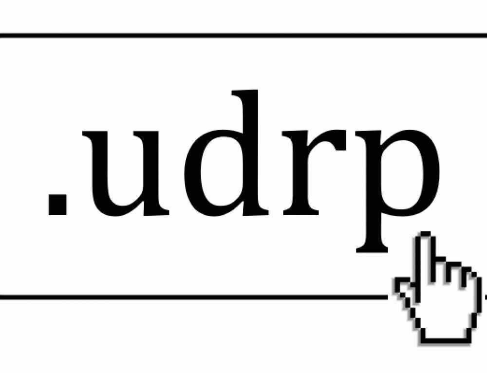 UDRP Process explained Brandsec