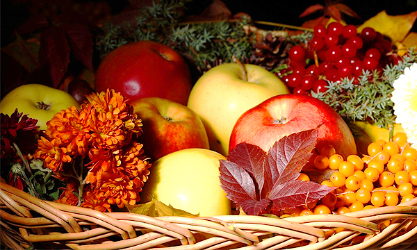 5 Foods to Keep You Healthy this Fall Brandsynario
