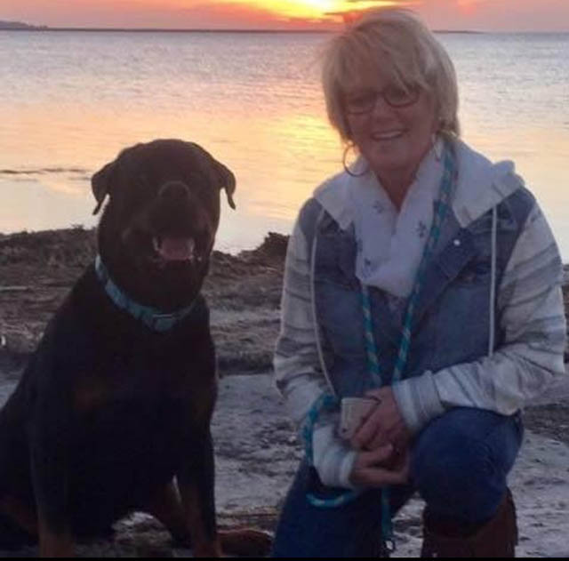 Brandywine Kennels Dog Boarding and Bathing in North Dinwiddie, VA