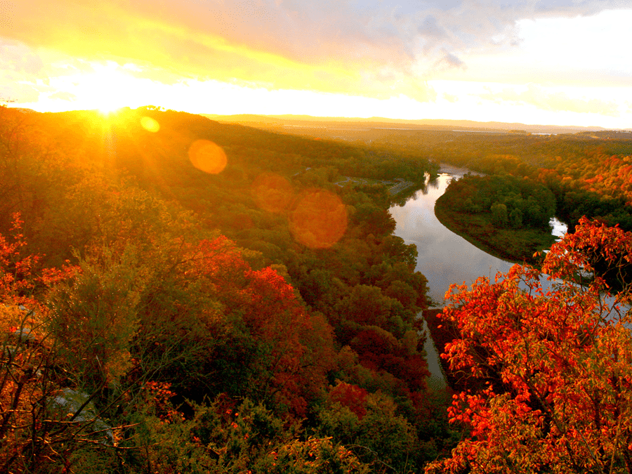 Pet Friendly Cabins in Branson MO Pet Friendly Condos in Branson MO