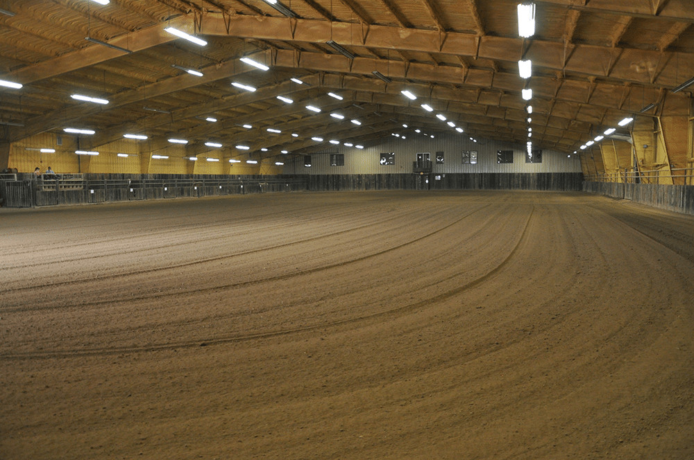 Our Team Brant Performance Horses