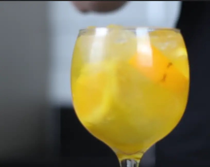 Gin Tropical Como Fazer Com e Sem Energético Brasil com Sabor