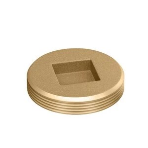 Best Pirce 🤩 PROFLO® PFBP5CSK Series 5 in. IPS Countersunk Square Head
