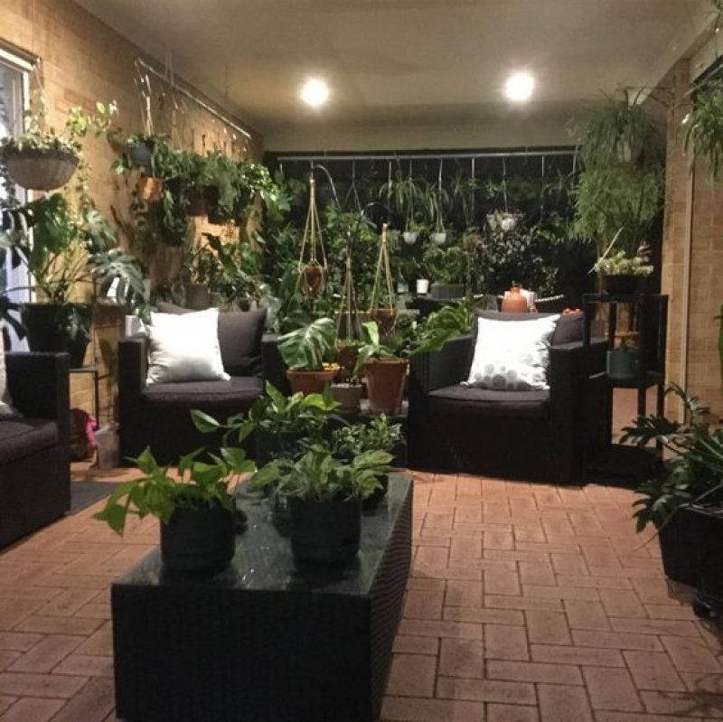 Beautiful Indoor Patterned Plants to Create a Lively Atmosphere â‹† BrassLook