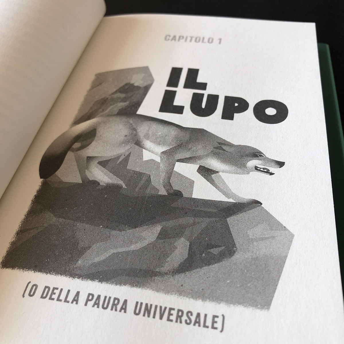LA PAURA DEL LEONE Dieter Braun