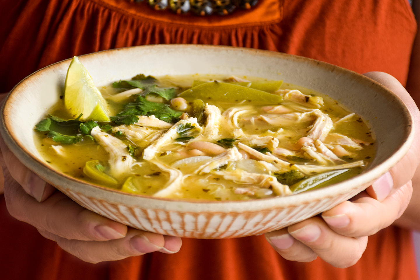 Easy Salsa Verde Soup Bravabod