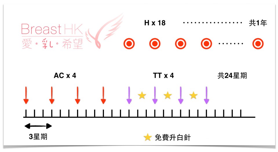 乳癌標靶治療