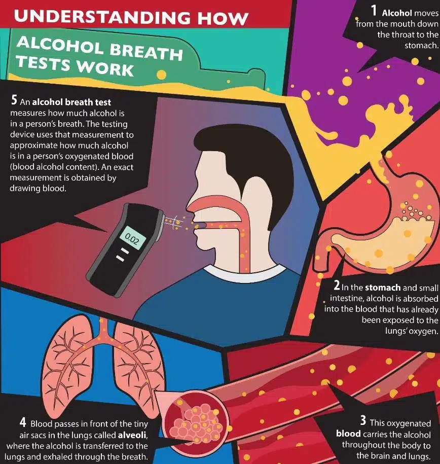 How Does a Breathalyzer Work? Breathalysers New Zealand Alcohol