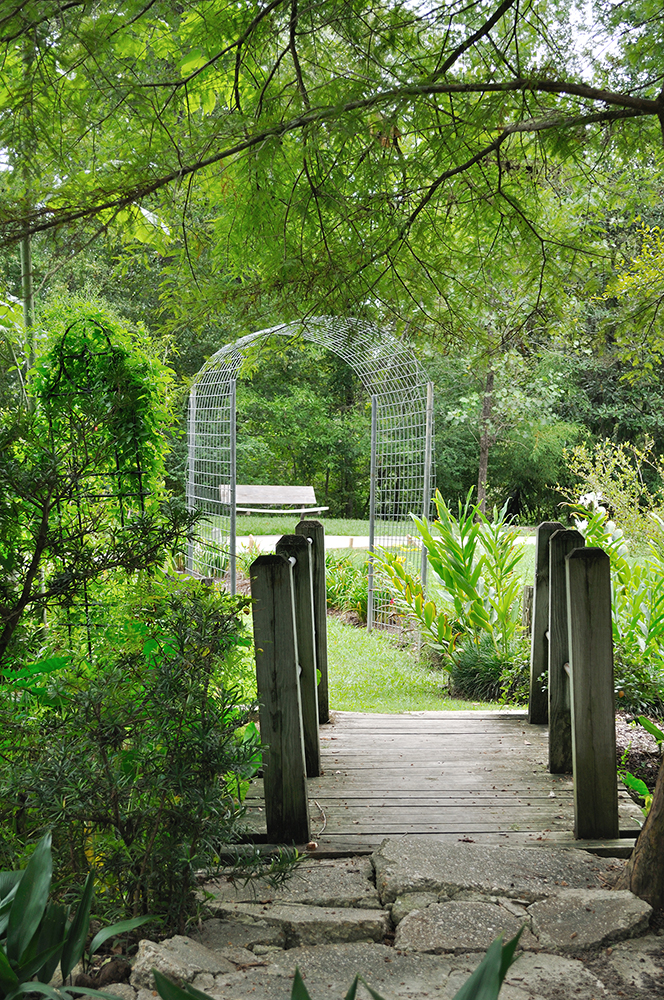 6 Arboretums to Visit in Southern Louisiana — LOOP NOLA