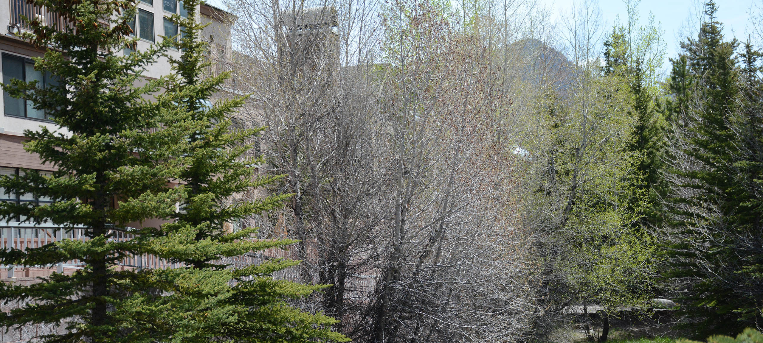 Slopeside Condos For Sale Keystone Co at Julieta King blog