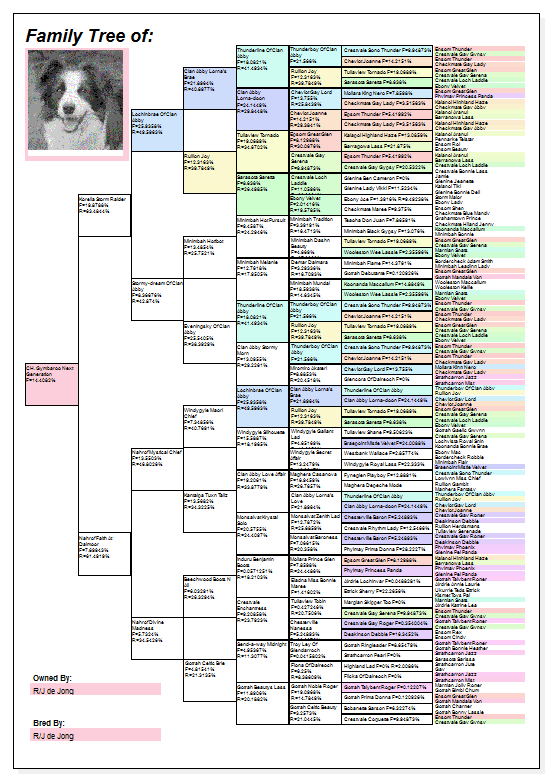 Pedigree software for dogs, cats, cattle, goats
