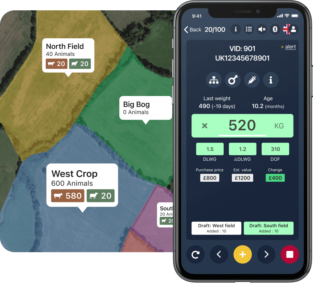 Farm management software & livestock trading Breedr