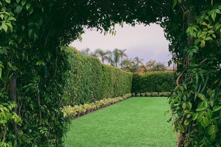 How To Make Your Garden More Private