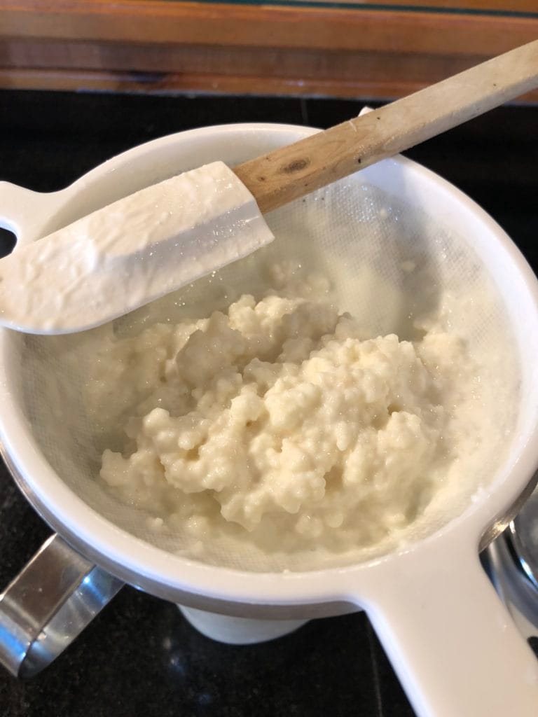 Kefir Grains for Milk, Coconut Milk and More Brenna May