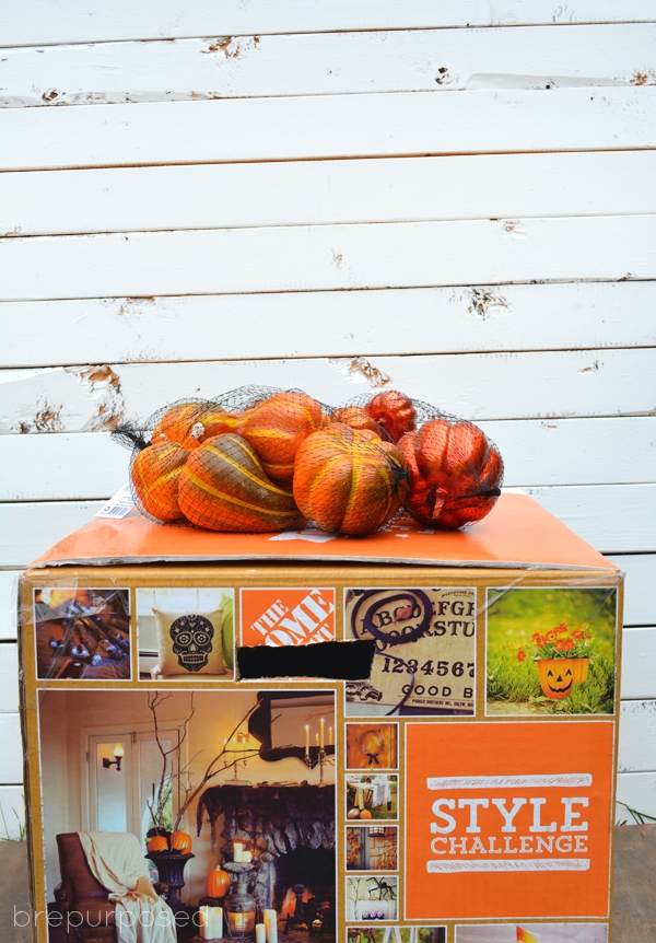 Home Depot Style Challenge Sneak Peek BREPURPOSED